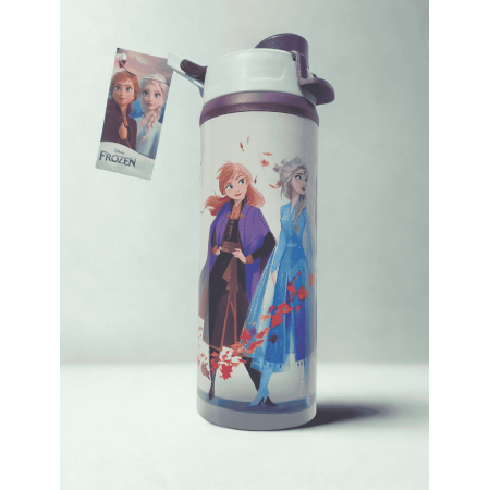 Anna and Elsa Frozen Insulated Water Bottle – Leak-proof Kids Bottle